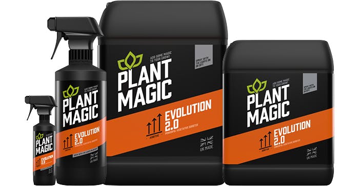 Plant Magic Evolution 2.0