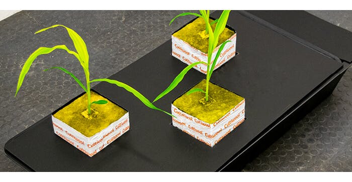 Using Cultiwool in systems