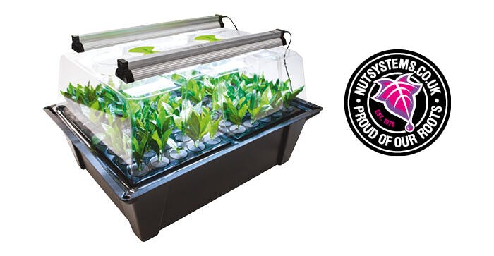 X-Stream Aeroponic Propagator